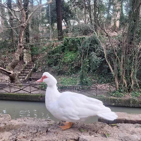 Apartman Rodini Ylia - Maisonette With Yard