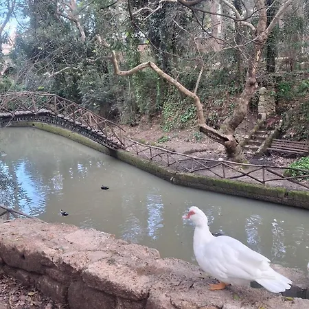 Rodini Ylia - Maisonette With Yard * Rhodes City